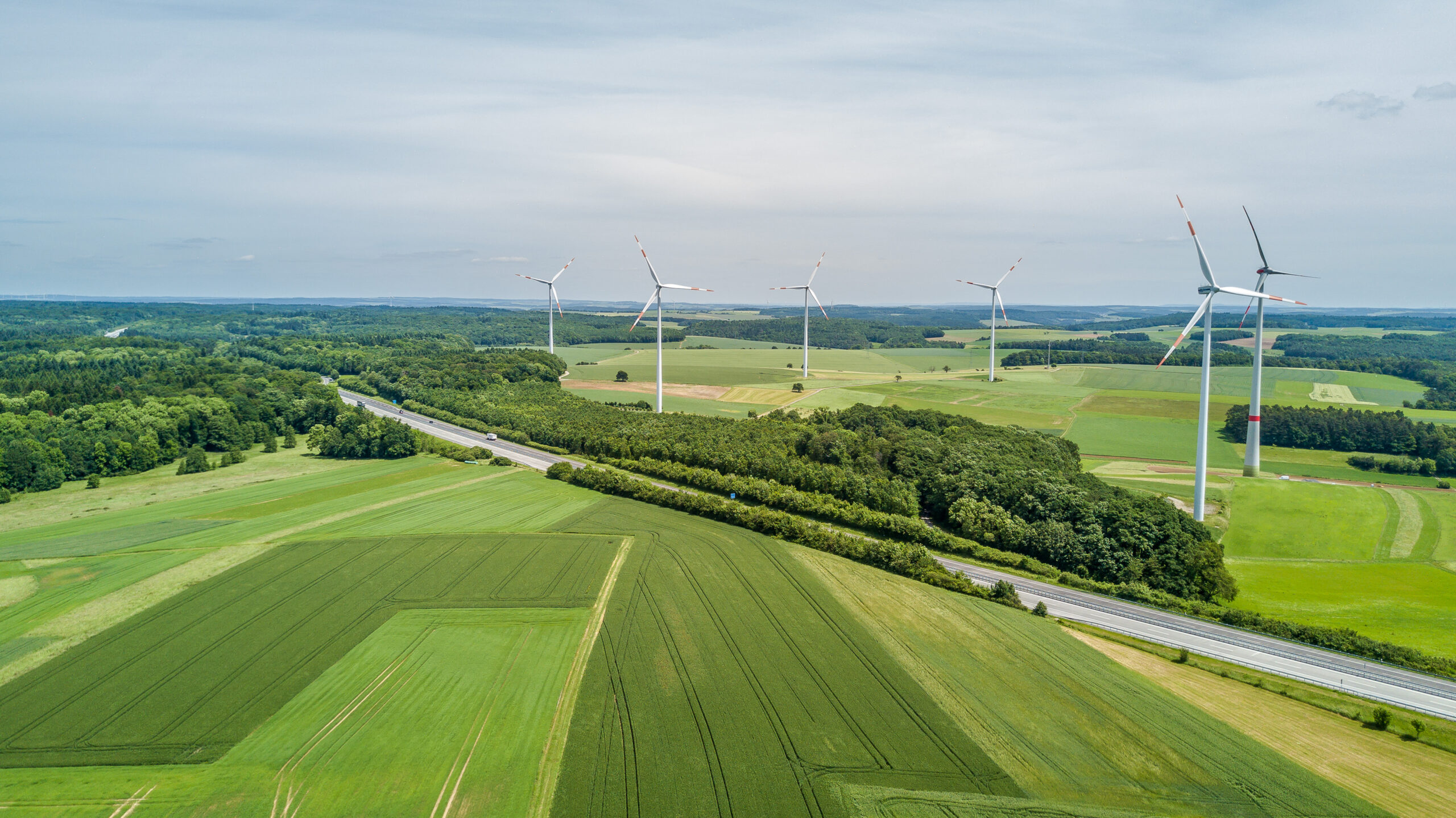 Zwischen Ahorn und Uiffingen
